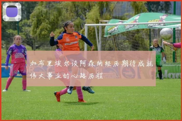加布里埃尔谈阿森纳经历期待成就伟大事业的心路历程